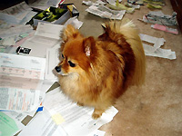 Tax return