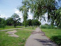 080626c.jpg