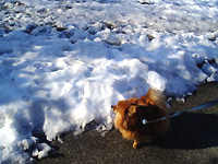 snow!