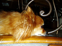 p070221a.jpg