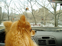 p070221h.jpg